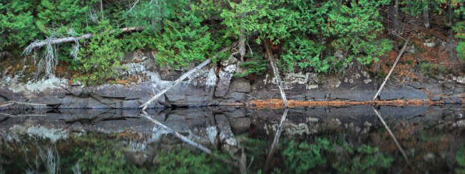 reflection reflection
