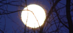 fullmoon2